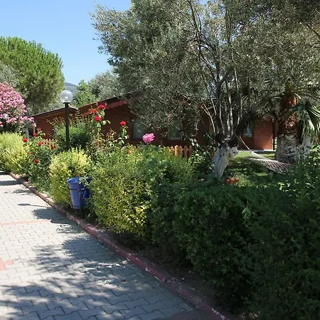 Kervan Tatil Koyu