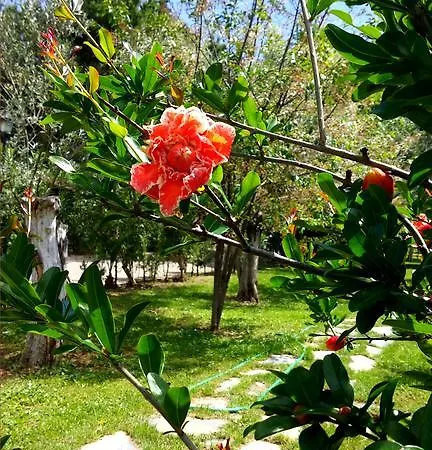 Kervan Tatil Koyu