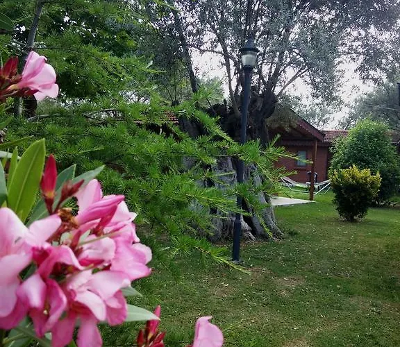 Kervan Tatil Koyu אדרמיט