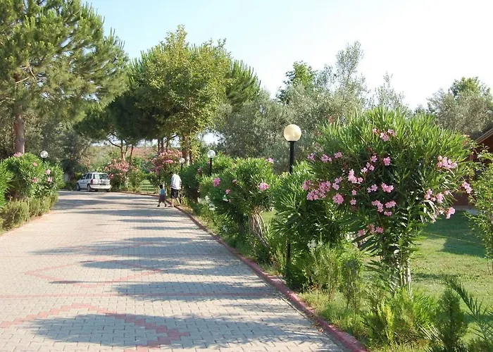 Kervan Tatil Koyu אכסניה